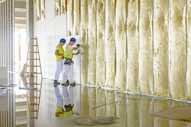 Best Insulation for Specific Applications in Howey In The Hills, FL
